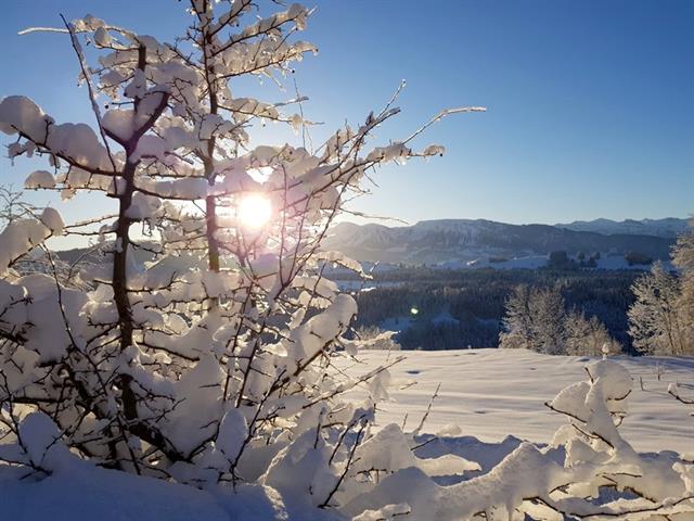 Foto für Winterlandschaft